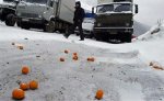 Транскам освобожден от автомашин с мандаринами из Грузии