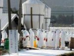В Японии, Индонезии и Таиланде зарегистрировали новые вспышки птичьего гриппа