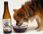 В Голландии появилось в продаже пиво для собак