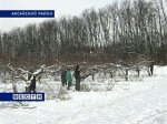 Пришедшая в Ростовскую область зима обнадежила агрономов