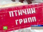 Молдавия запретила несуществующий ввоз мяса птицы из России