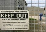 В Великобритании зафиксирована вспышка птичьего гриппа