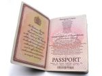 Новые электронные паспорта оказались скоропортящимися
