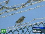 Гуантанамо хранит свои секреты