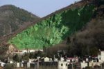 Китайцы покрасили гору в зеленый цвет 