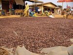 Какао снижает риск инсультов