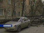 В Ростовской области устраняют порывы линий электропередач