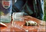 В крови жителя Беларуси зафиксировано нереальное содержание алкоголя