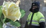 В Тюмени сотрудники ГАИ нарушившим правила женщинам дарят цветы