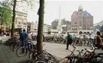 В Голландии на местных выборах лидирует правящая коалиция
