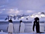 Экстремалы оставили под крылом Антарктиду