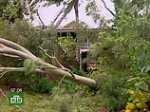 На Австралию обрушился циклон: трое погибших