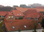 91-летний немец приклеился к крыше собственного дома