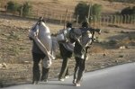 Пятерых похищенных европейцев передали властям Эритреи