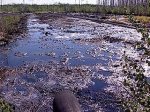 Минприроды: Неочищенными стоками загрязняется большинство водных объектов России