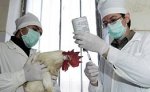 Россия с 6 апреля запрещает импорт мяса птицы из штата Вирджиния