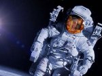 Космический турист раскрыл планы Гейтса по освоению космоса