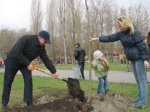 На Пушкинской набережной в Таганроге высадили 80 деревьев 