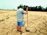 Засуха может оставить Италию без урожая