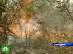 Лесные пожары уничтожают сибирскую тайгу 