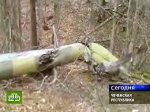 В крушении Ми-8 в Чечне обвинили пилотов