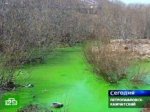 Река Кирпичная стала ядовито-изумрудной