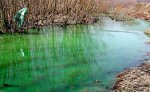 Подтверждено содержание в реке Кирпичной красителя для теплосистем