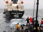 Защитники китов отправились на охоту за исландскими китобоями