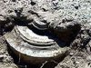 Четыре мины времен Великой Отечественной войны обнаружены в одном из хуторов Ростовской области