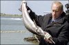 В Азовском море будет восстановлена популяция осетровых рыб
