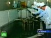 Ядерный реактор в Йонбене до сих пор не остановлен