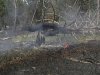 В Морозовском районе был лесной пожар