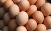 Грузия начала экспортировать яйца в Ирак