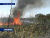 На востоке Ростовской области сохраняется чрезвычайная пожароопасность 