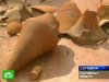В Ростовской области ученые нашли любопытные  артефакты