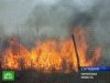 В Читинской области из-за пожаров объявлен режим чрезвычайной ситуации.