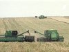 Россию заподозрили в стремлении прекратить экспорт зерна