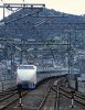 В Японии поезд убил инвалида