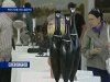 На выставке к 70-летию Ростовской области донские художники представили 700 работ