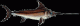Виды рыб. Саблянка или меч-рыба (Xiphias gladius)