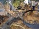 Грузовой Ан-26 с пассажирами на борту рухнул на рынок в пригороде Конго 