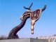 В Москве впервые покажут скульптуры Сальвадора Дали "Профиль времени" и "Женщина в огне"