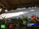 Гигантский рождественский штолен накормил жителей Дрездена