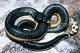 Яд морских змей Hydrophidae 