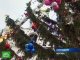 В Кремле украшают главную Рождественскую елку страны.