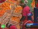 Жители итальянского городка Ивреа устроили апельсиновые бои