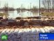 Наводнением затоплены сотни домов в Казахстане. 