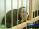 За ограбление «Сбербанка» в Чите преступники получили длительные сроки заключения