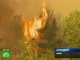 В чилийских лесах бушуют пожары