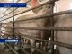 На свиноводческих хозяйствах Ростовской области проводят профилактические мероприятия
